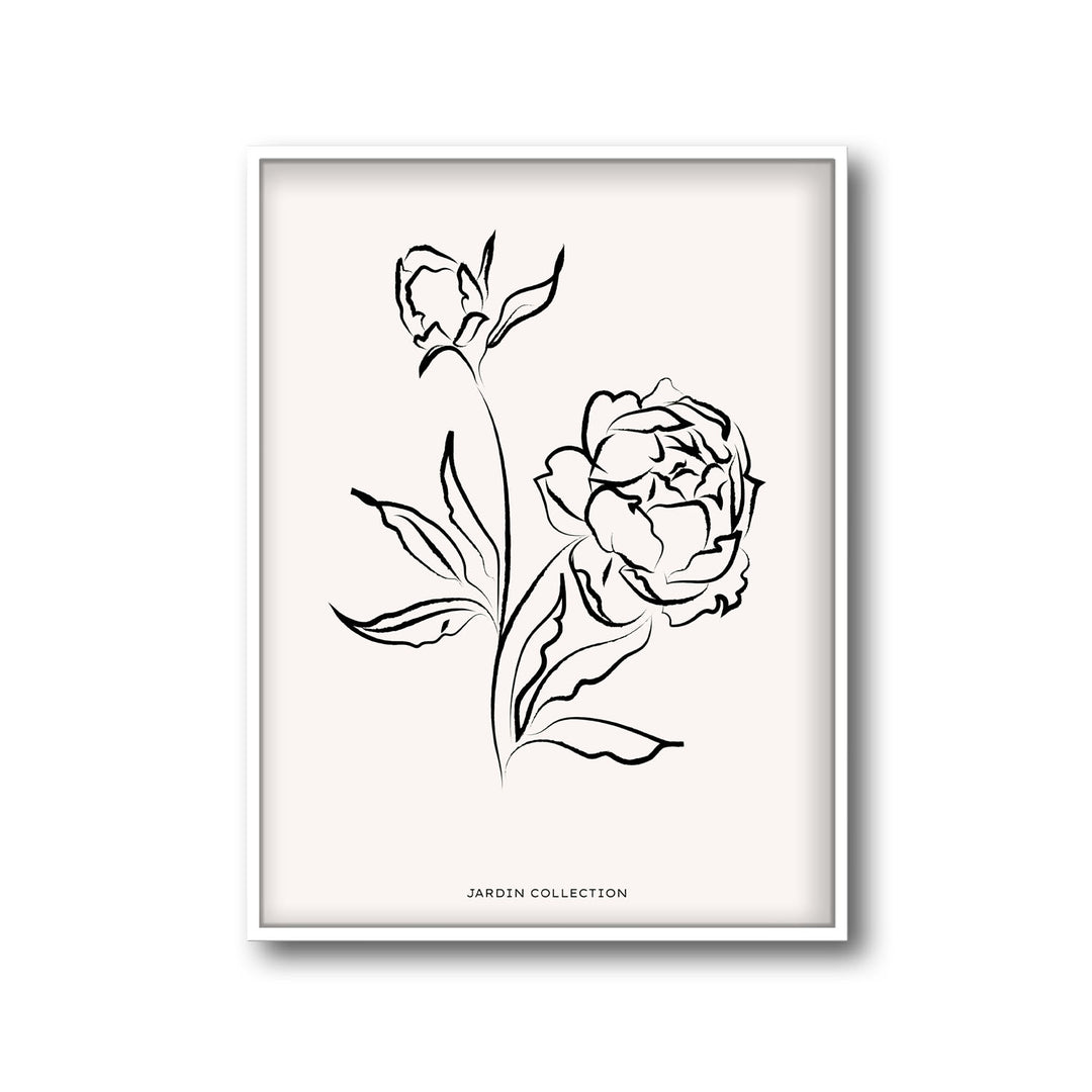 pivoines