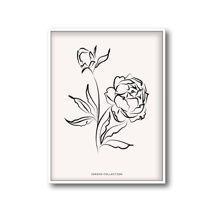 pivoines
