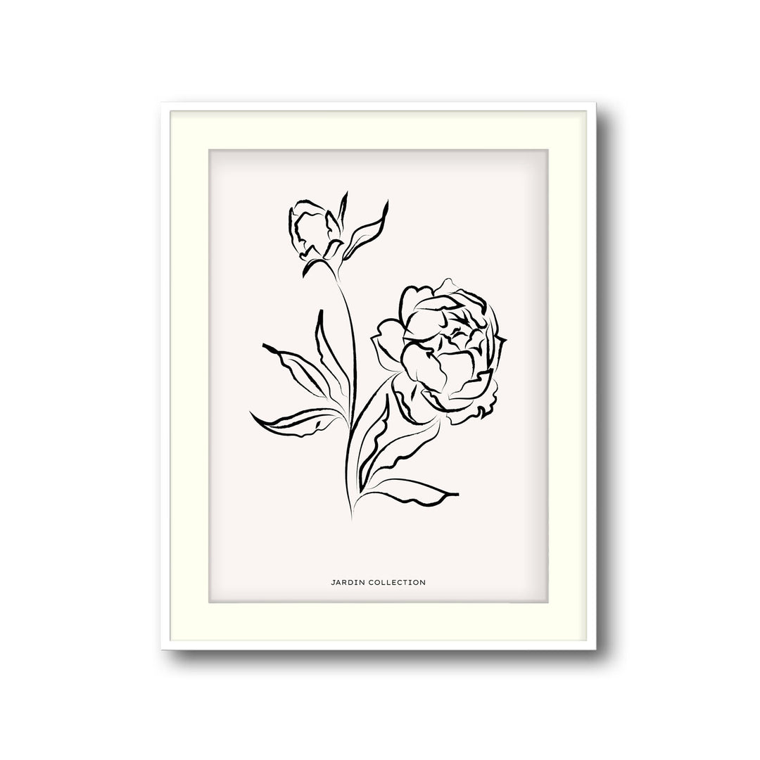 pivoines