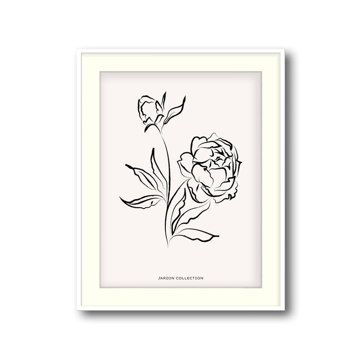 pivoines