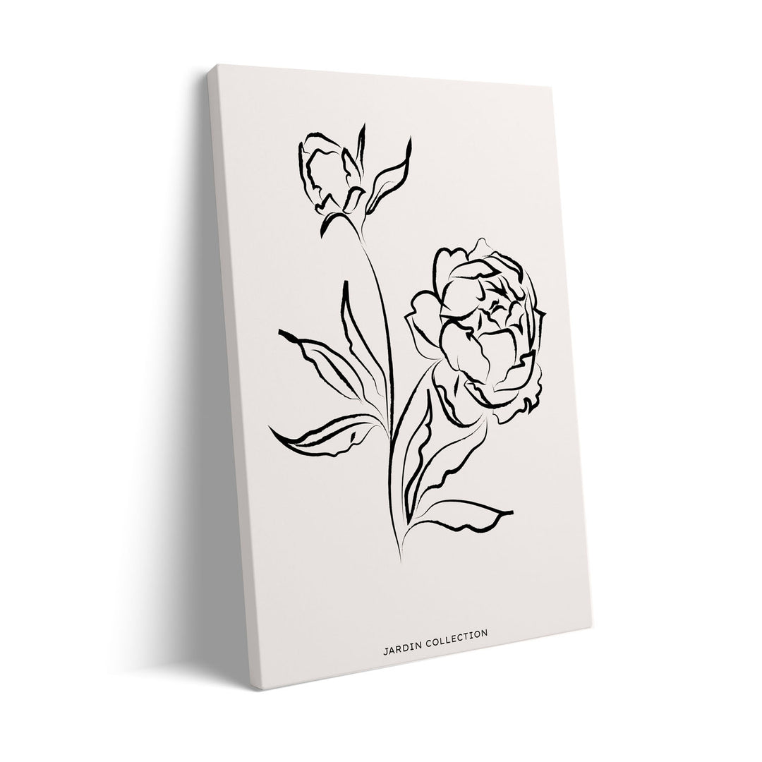 pivoines