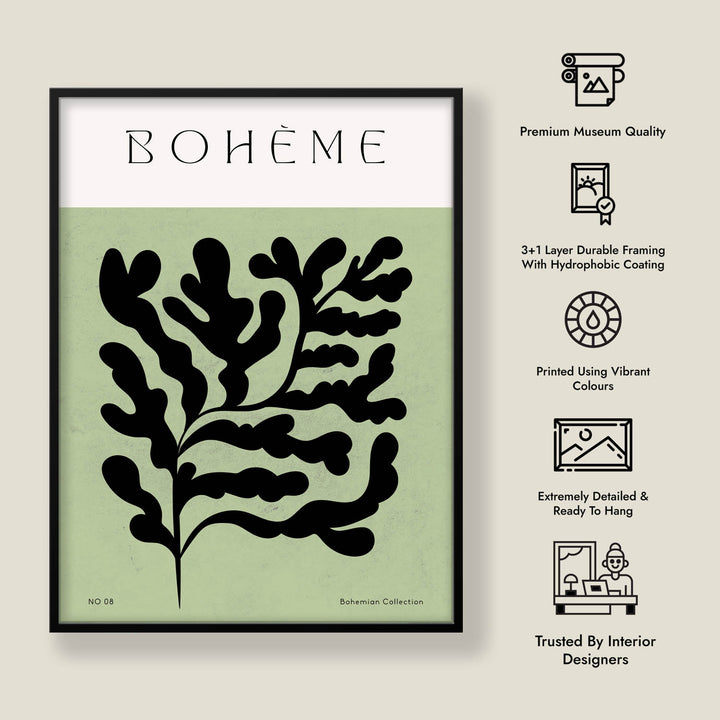 Fern
