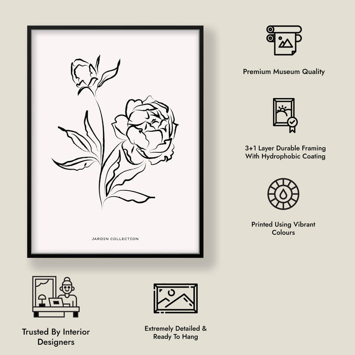 Pivoines
