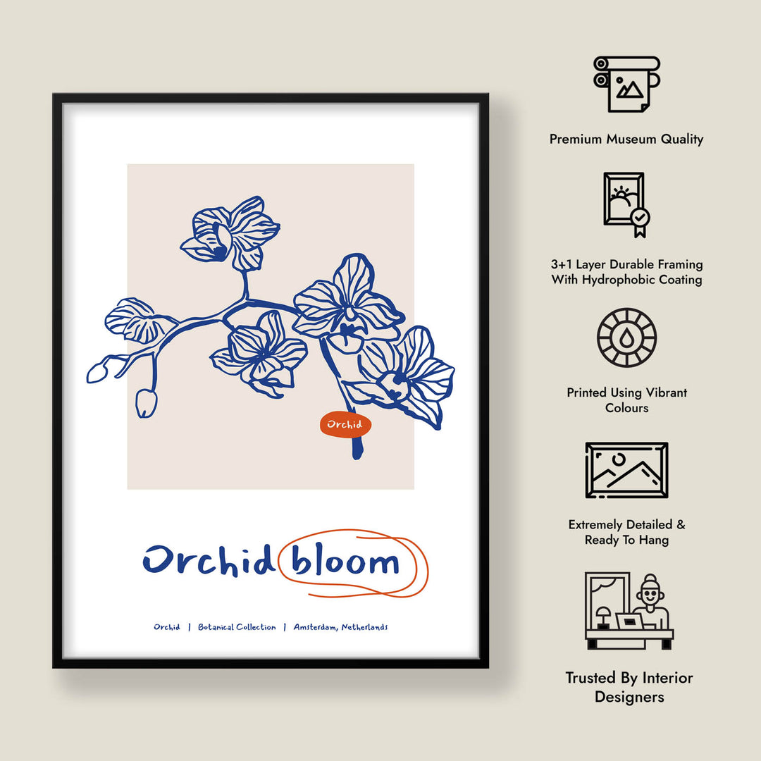 Tranquil Petals D