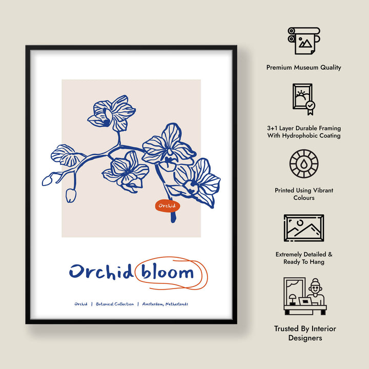 Tranquil Petals D