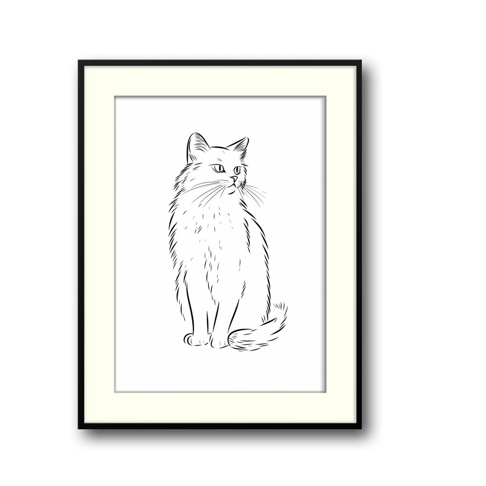 cat-sketch