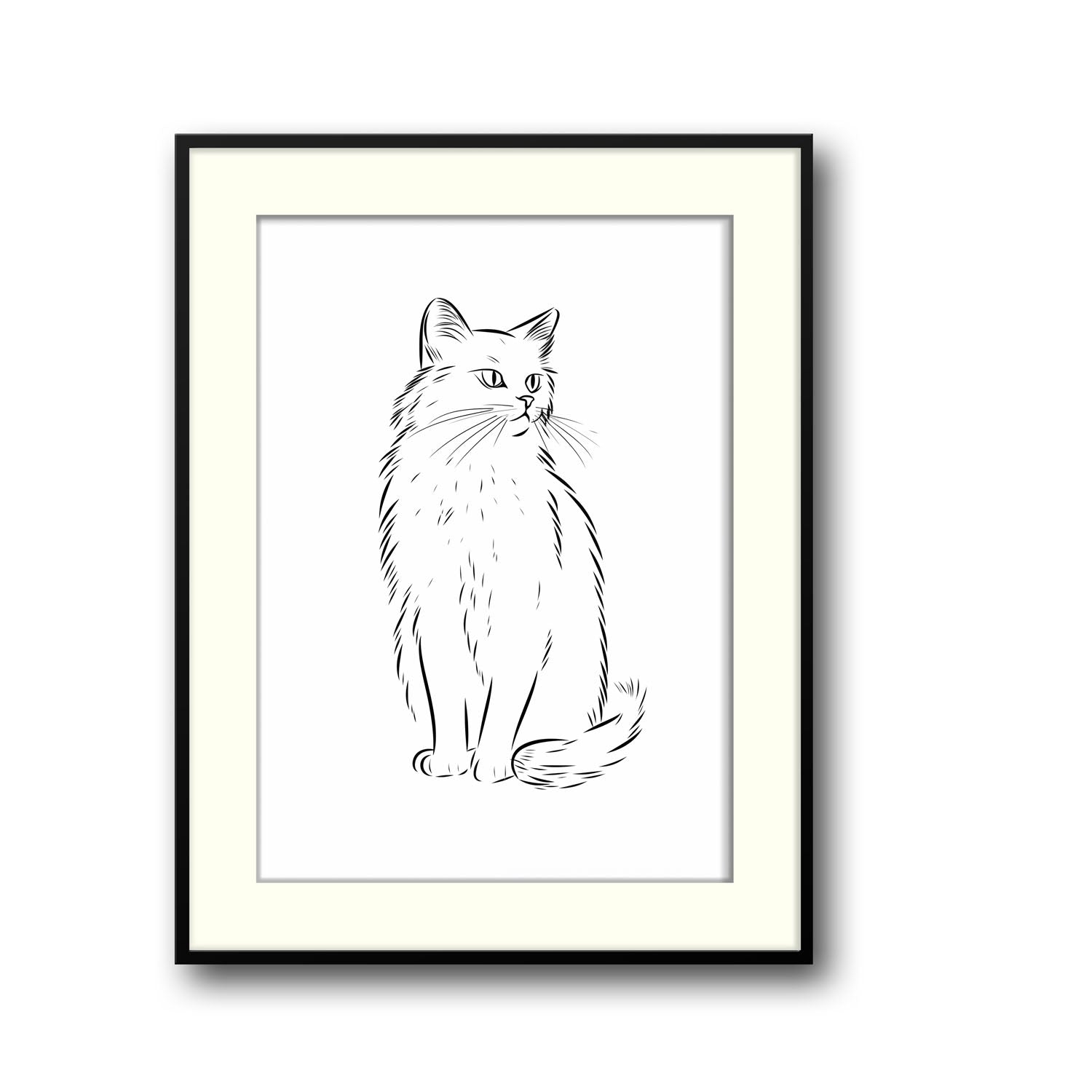 cat-sketch
