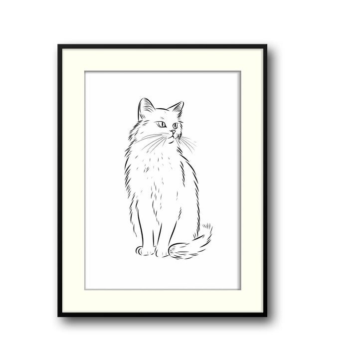cat-sketch