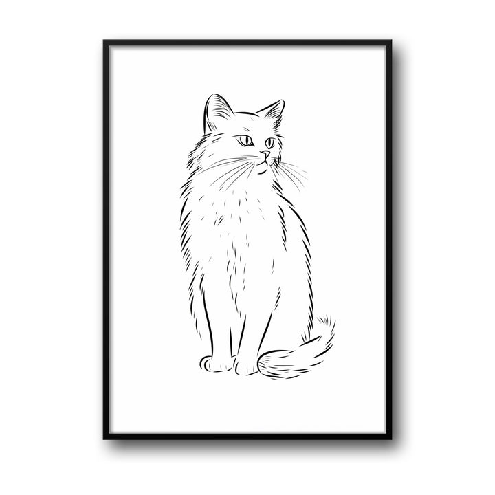 cat-sketch