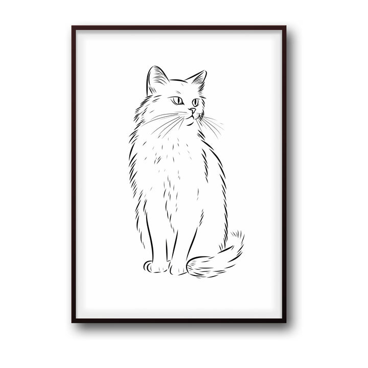 cat-sketch