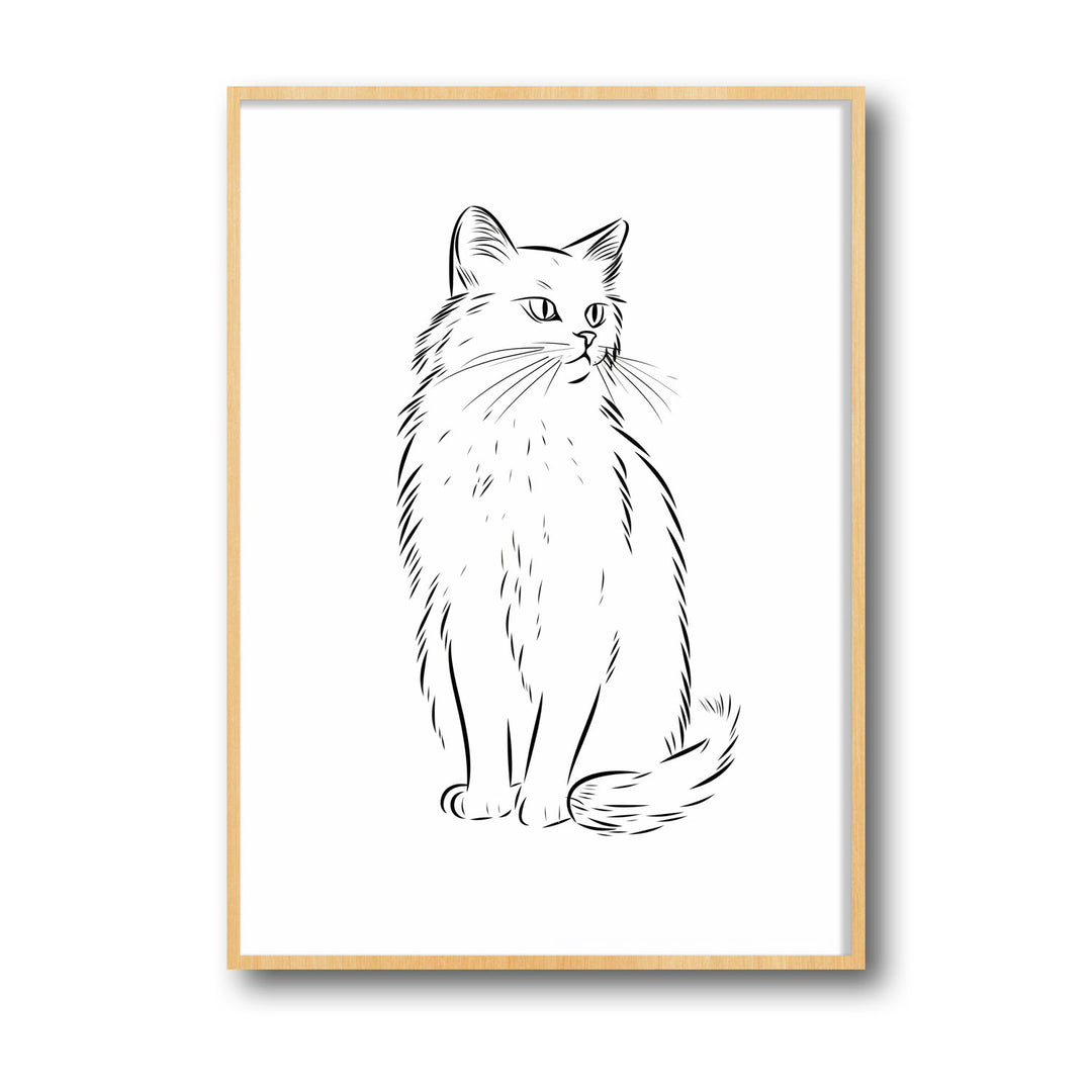 cat-sketch