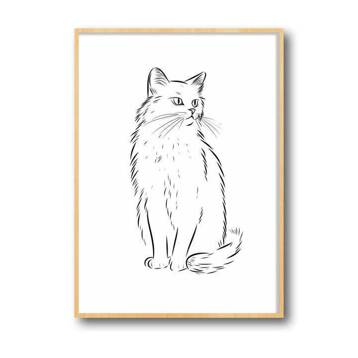 cat-sketch