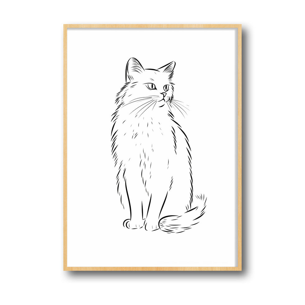 cat-sketch