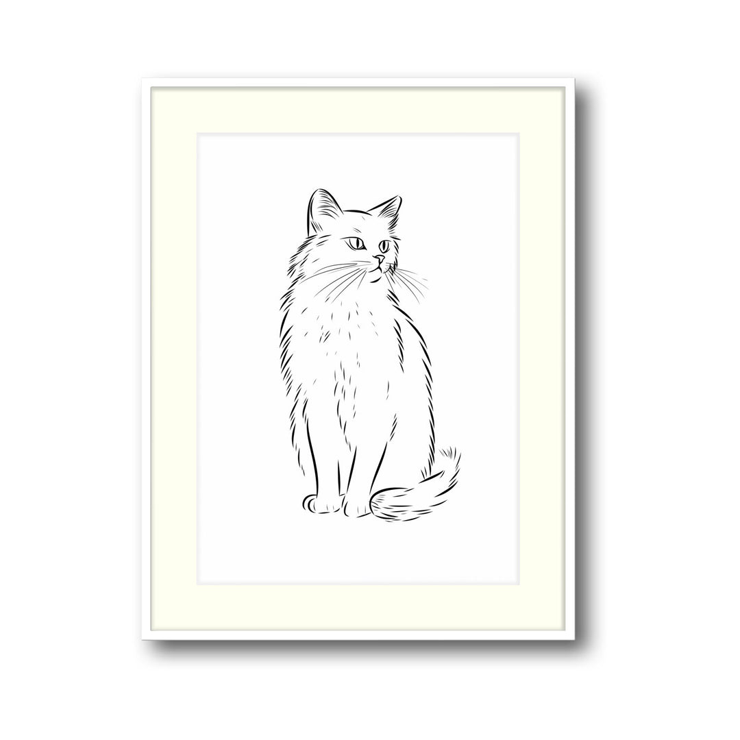 cat-sketch