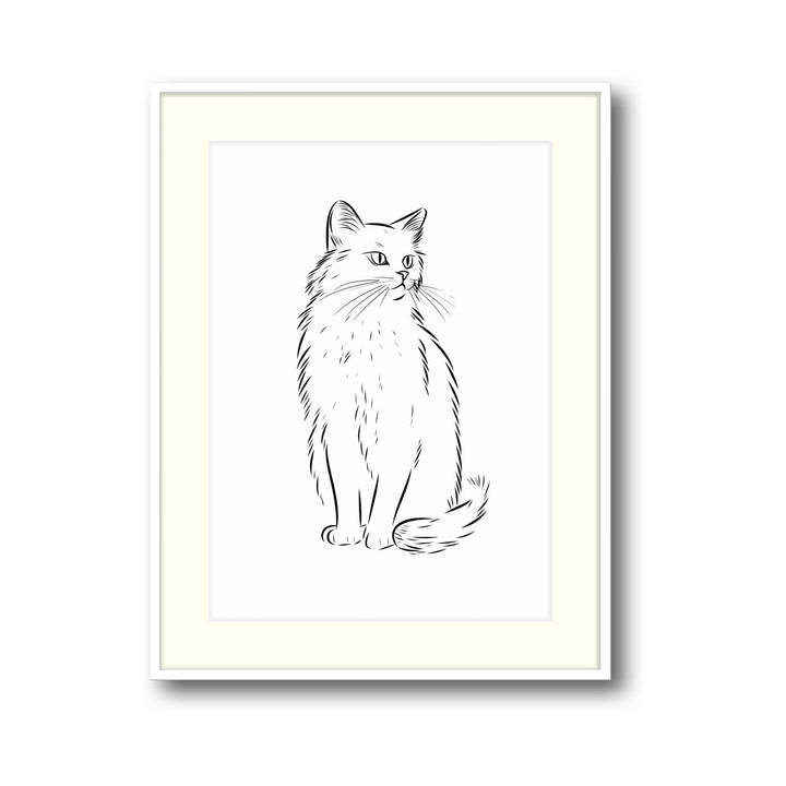 cat-sketch