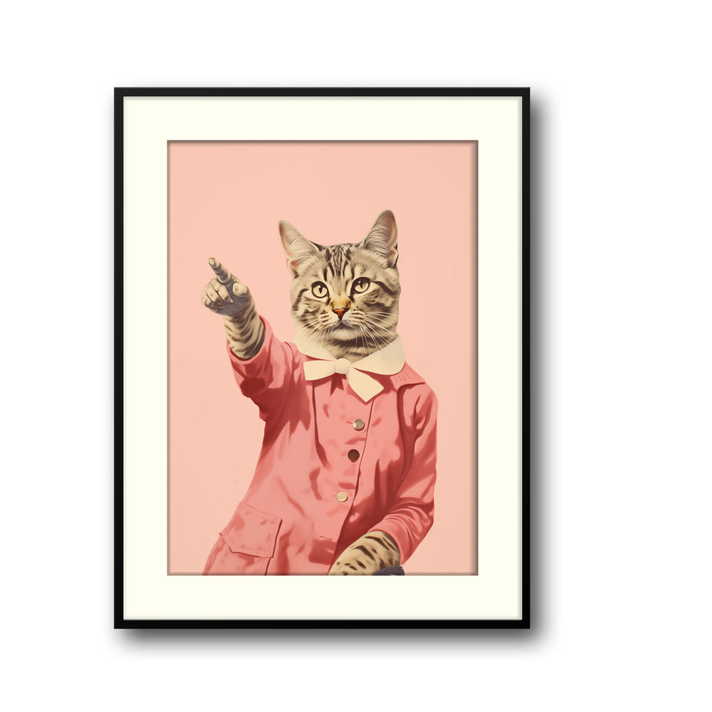 disco-cat