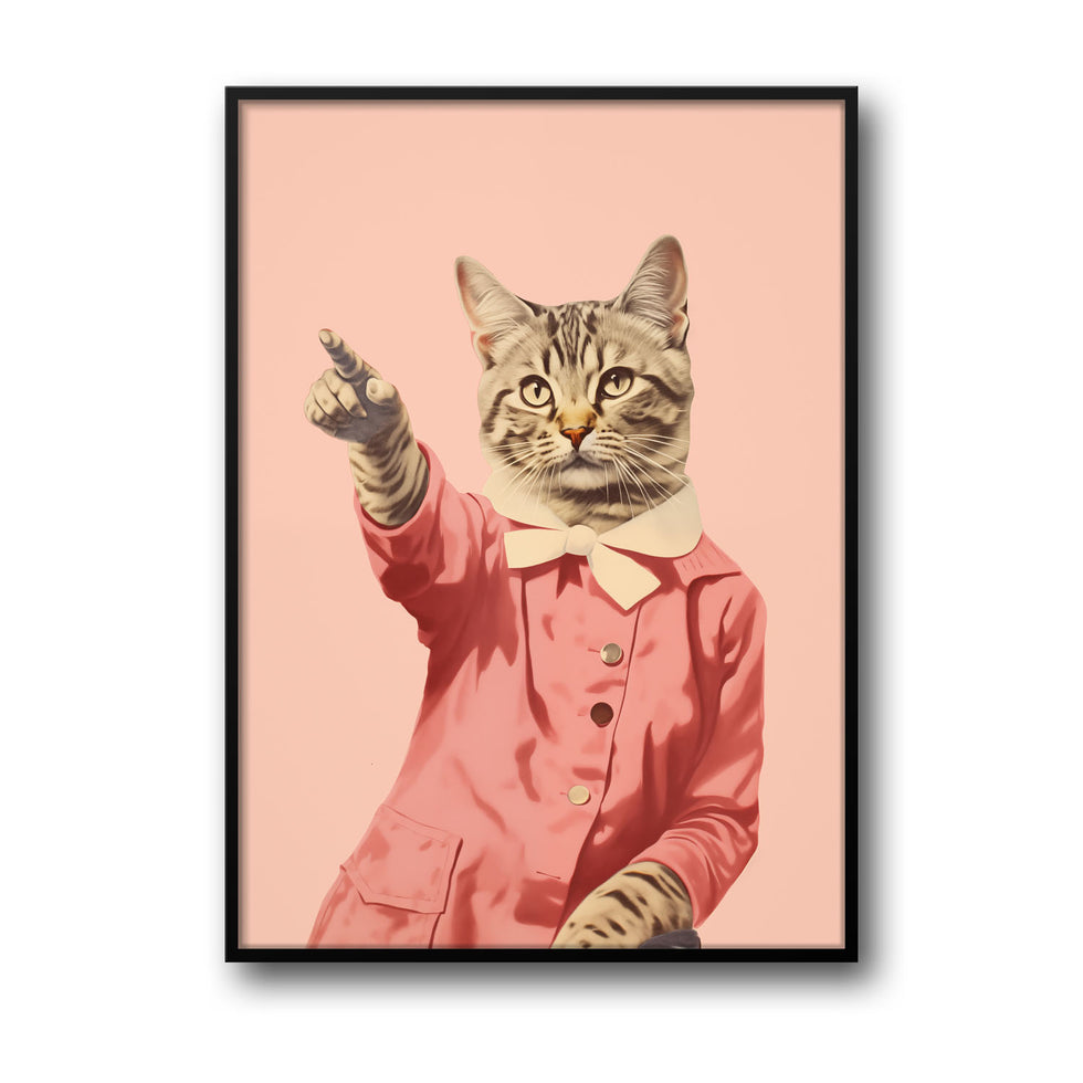 Disco Cat