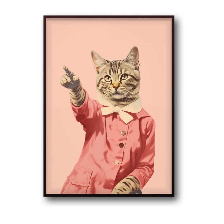 disco-cat