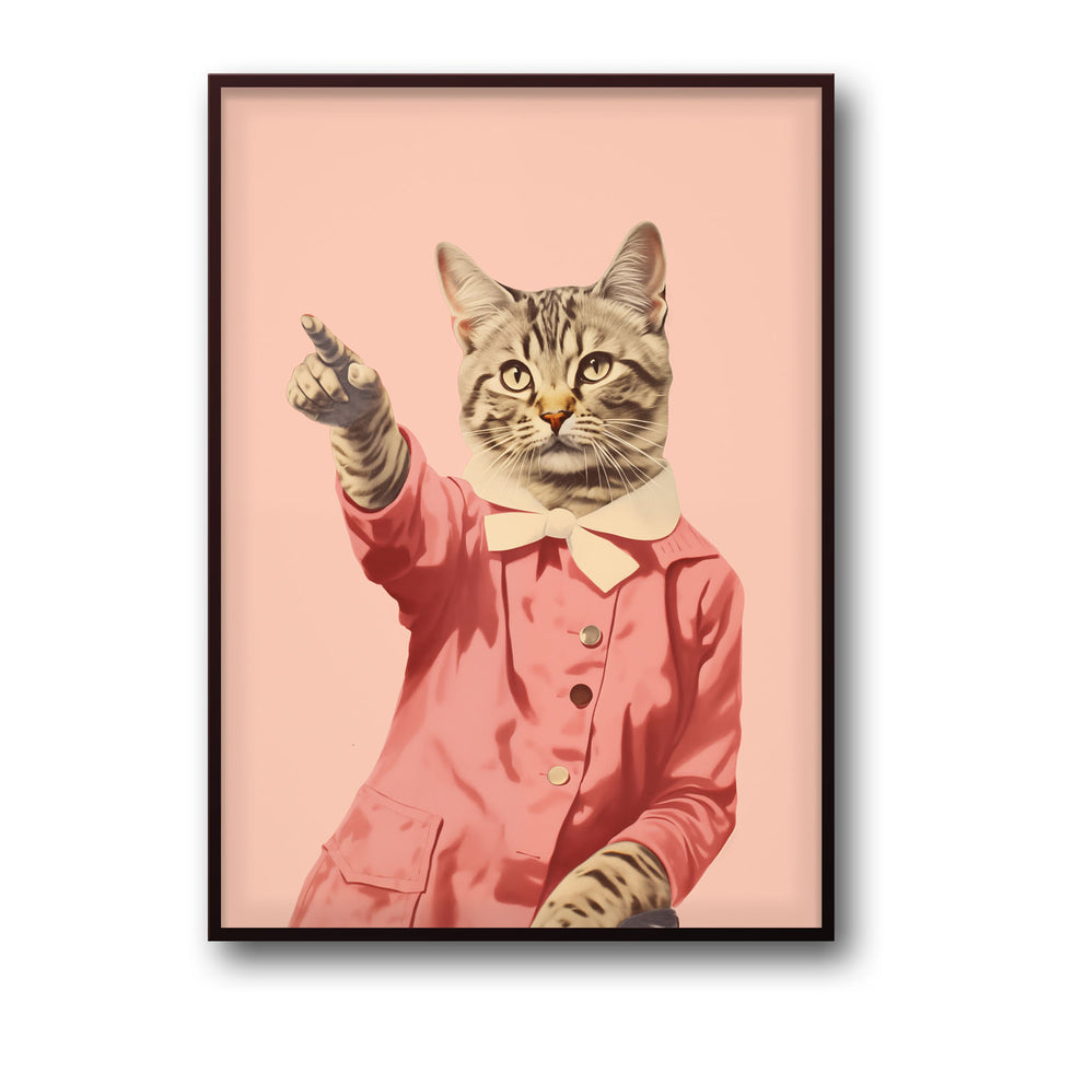 disco-cat