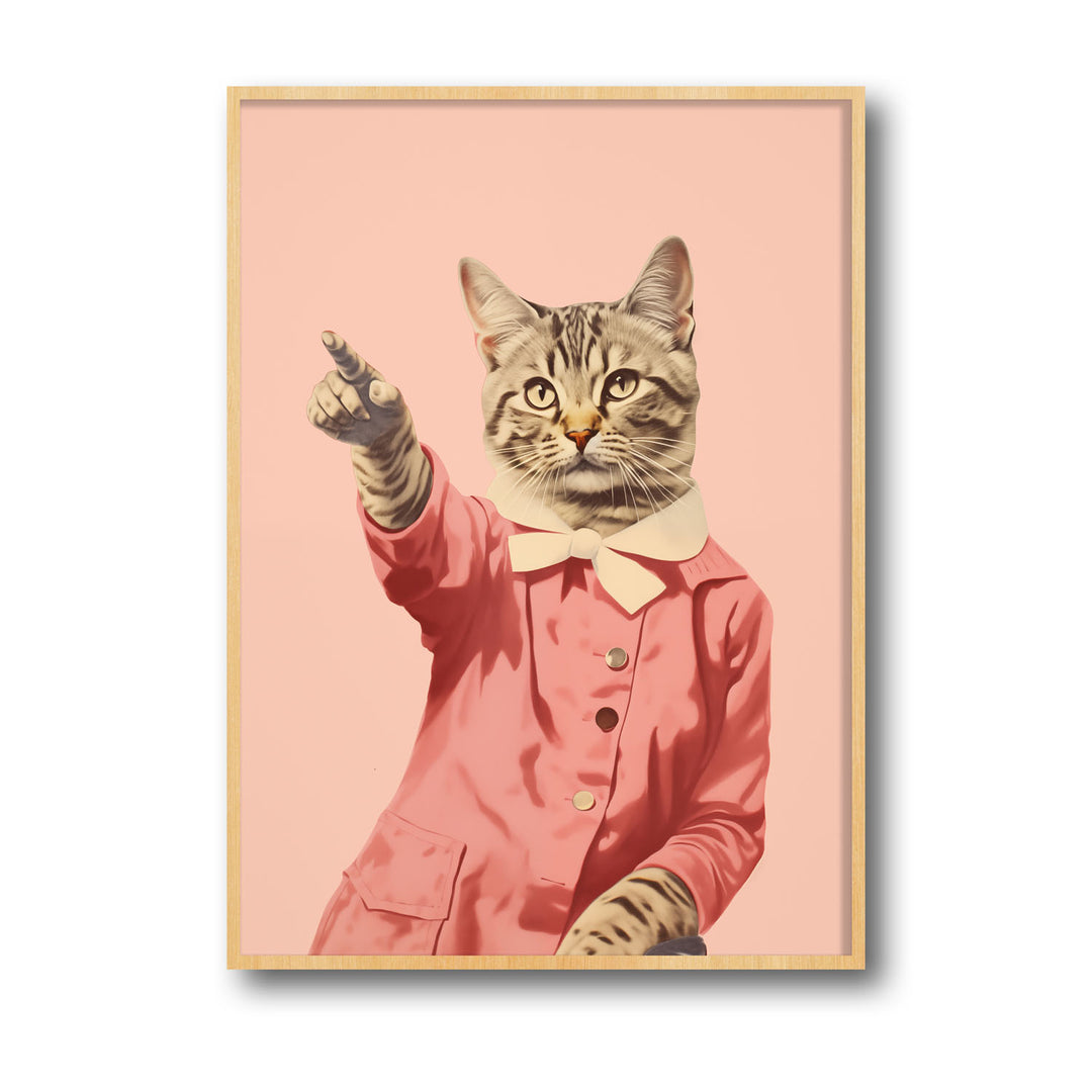 disco-cat