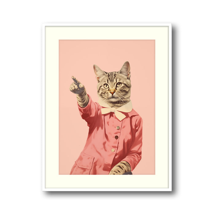 disco-cat