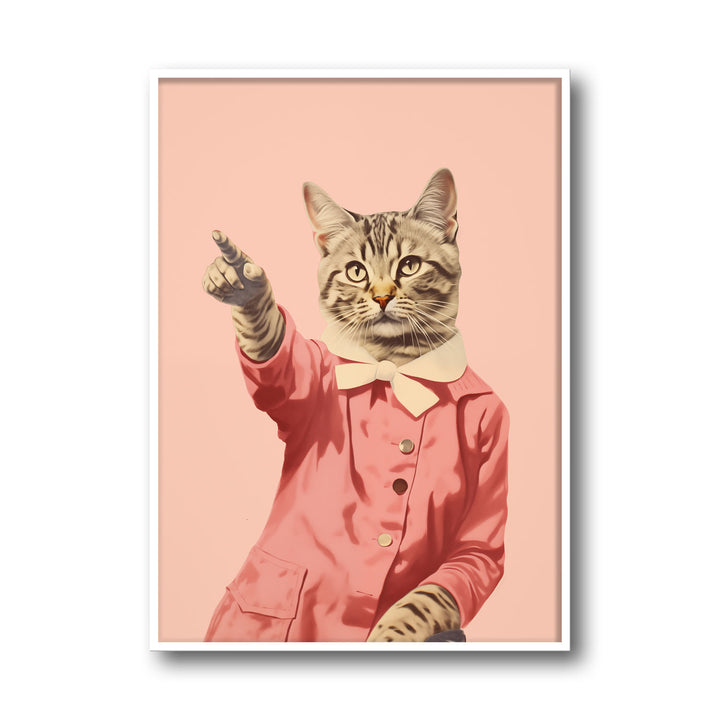 disco-cat