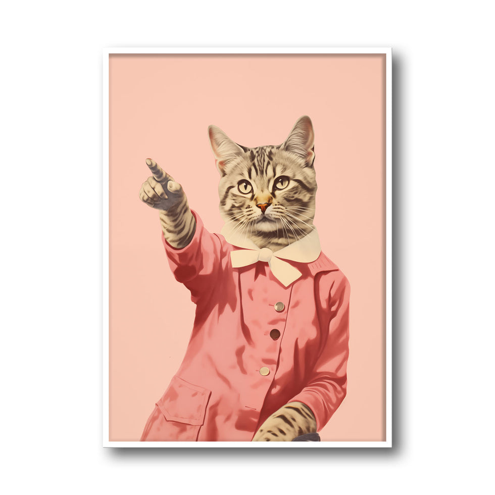 disco-cat
