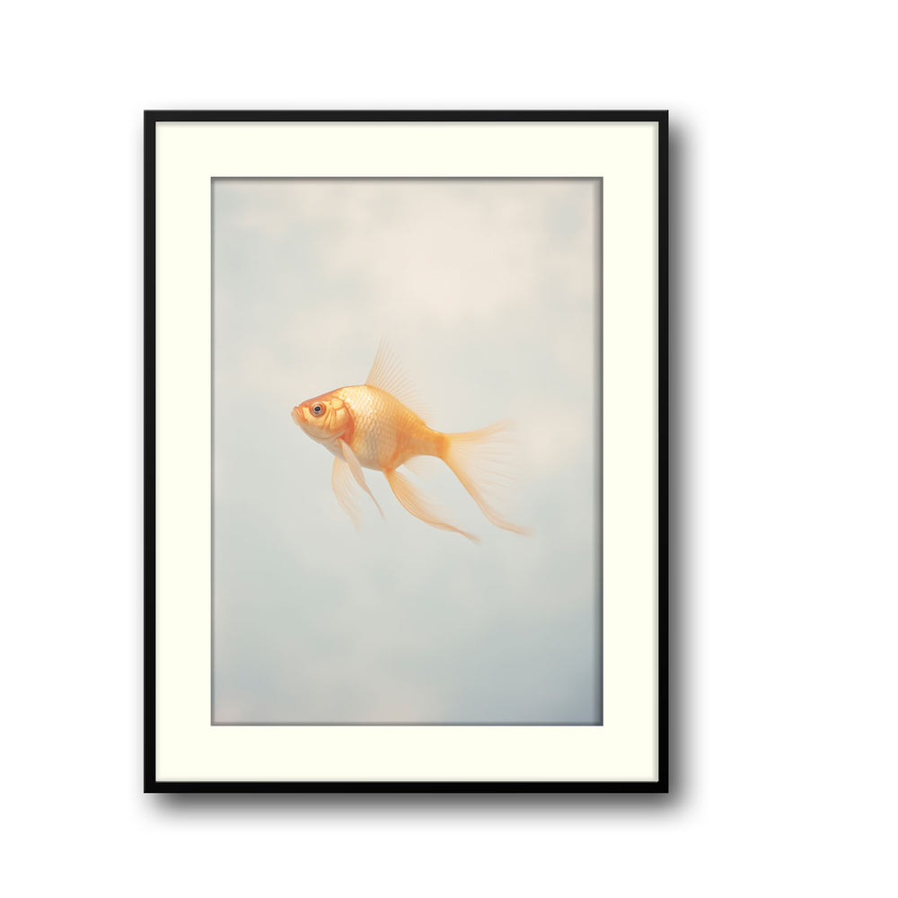 goldfish