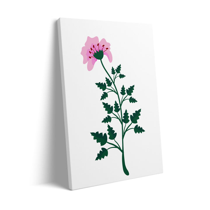 petal-serenity-b