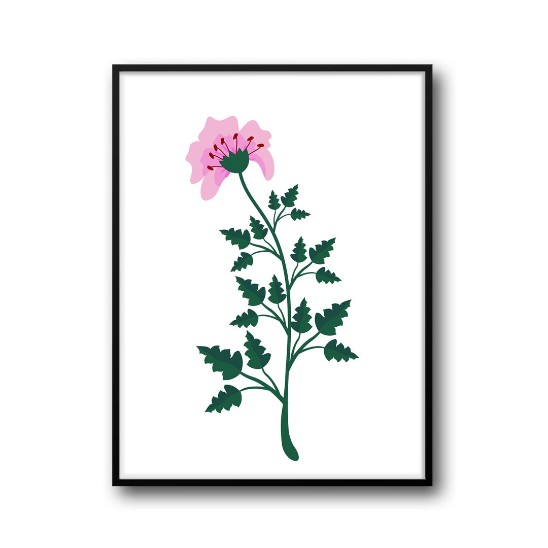 petal-serenity-b