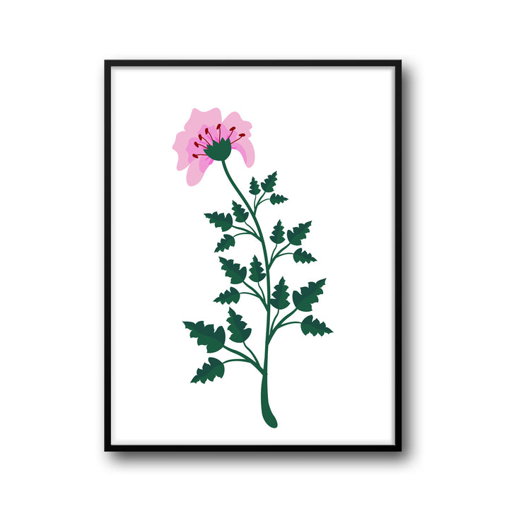 petal-serenity-b