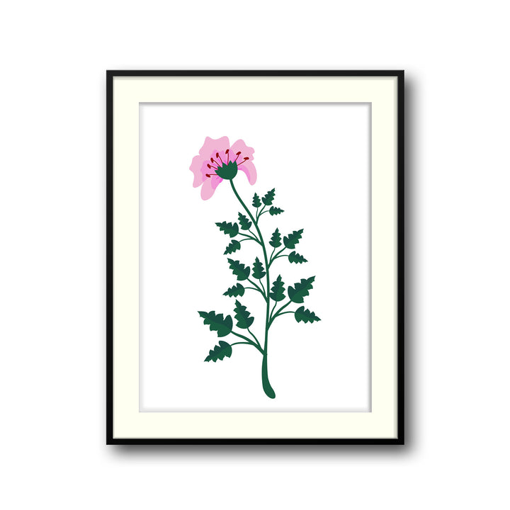 petal-serenity-b