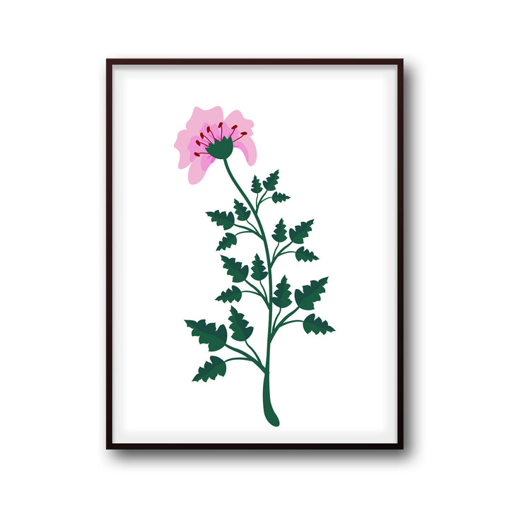 petal-serenity-b