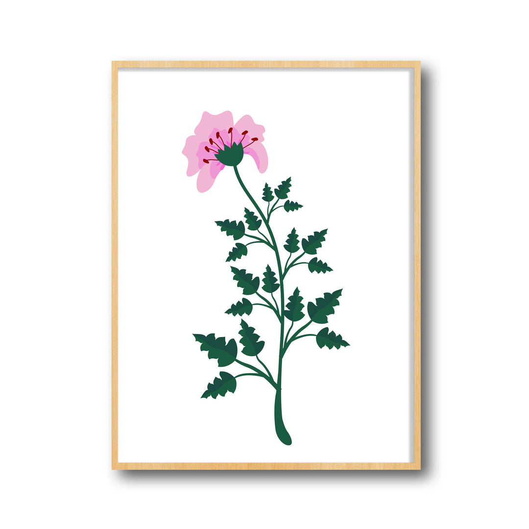 petal-serenity-b