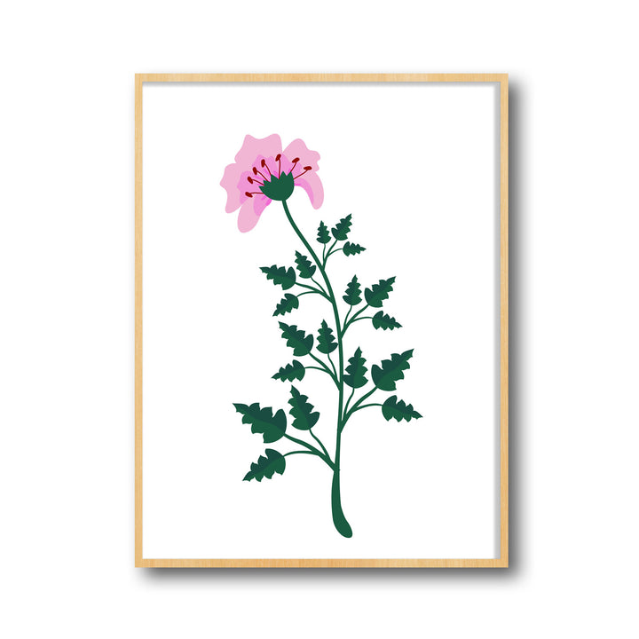 petal-serenity-b