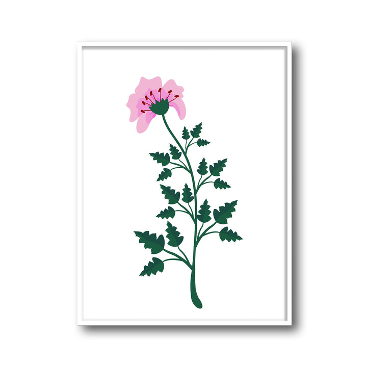 petal-serenity-b