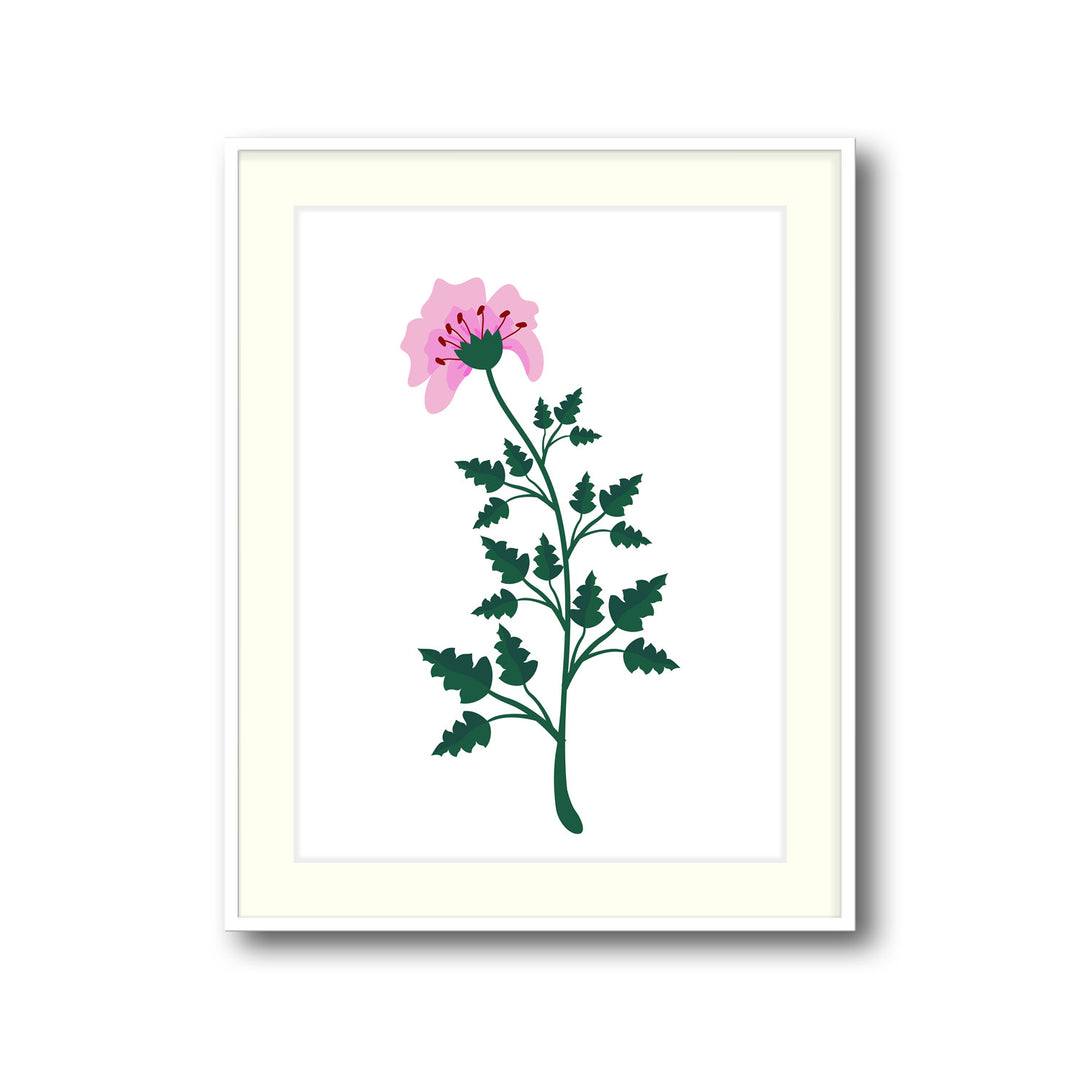 petal-serenity-b