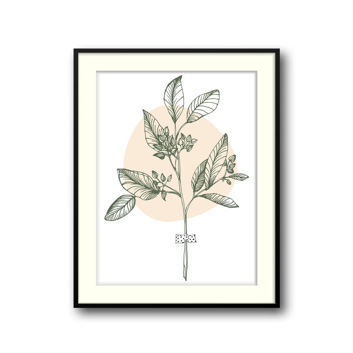 botanical-melody-a