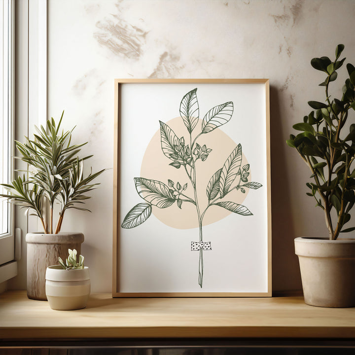 botanical-melody-a