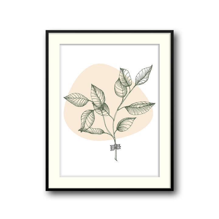 botanical-melody-b