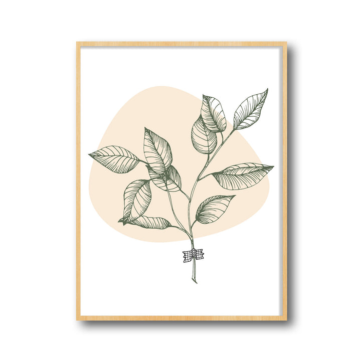 botanical-melody-b