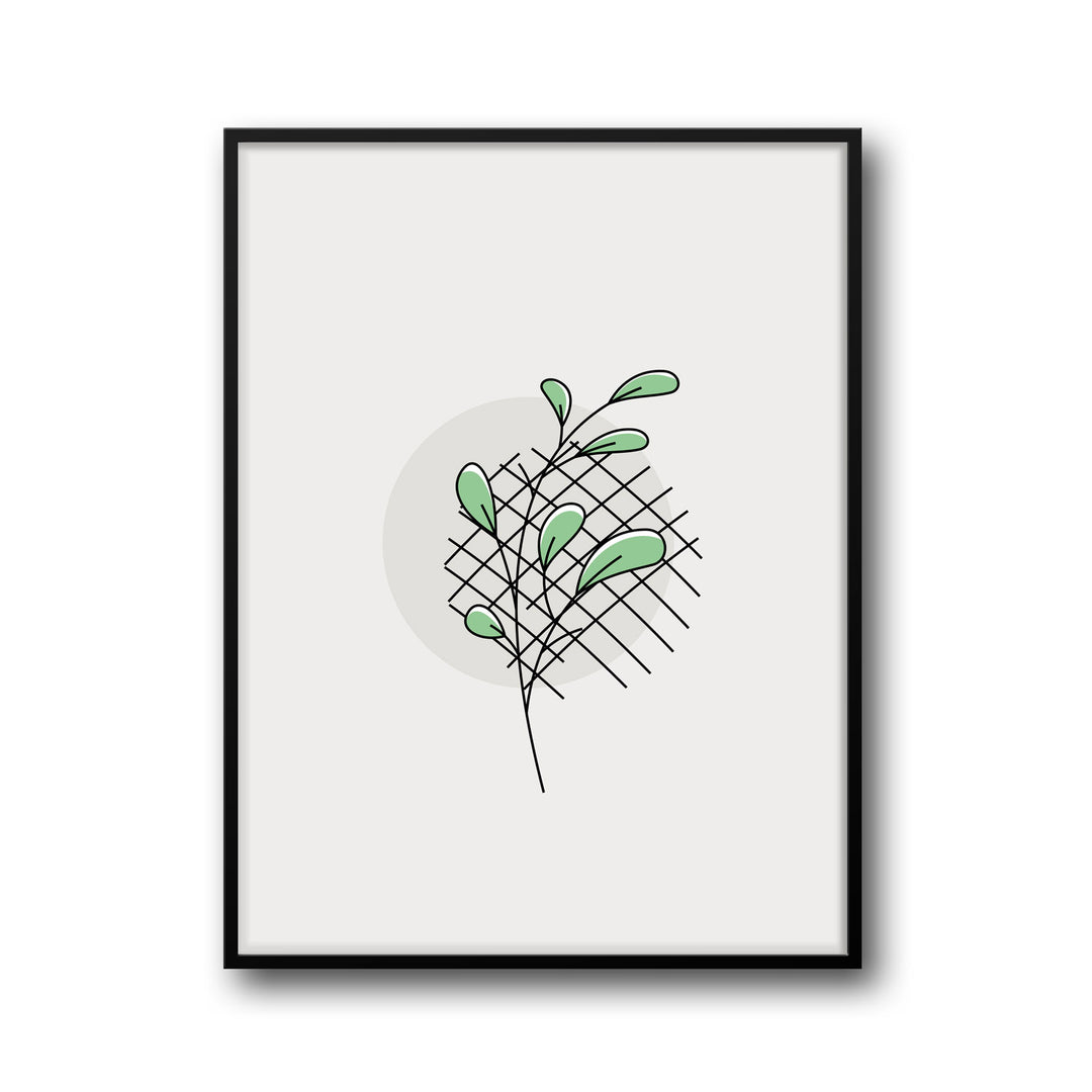 green-oasis-a