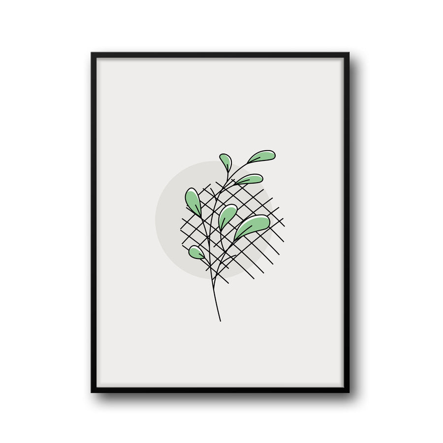 green-oasis-a