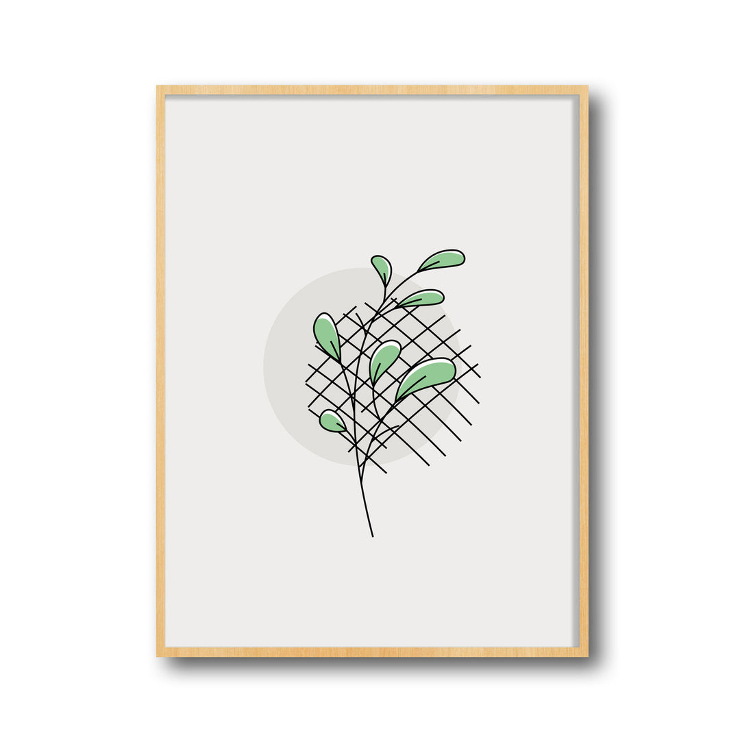 green-oasis-a