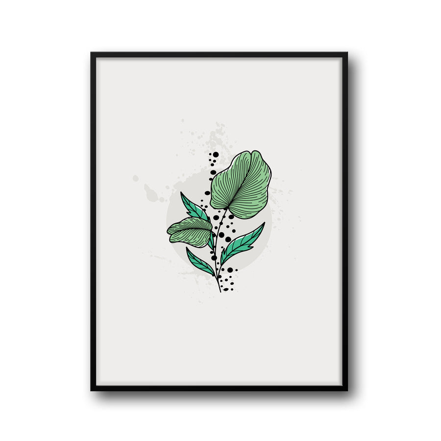 green-oasis-c