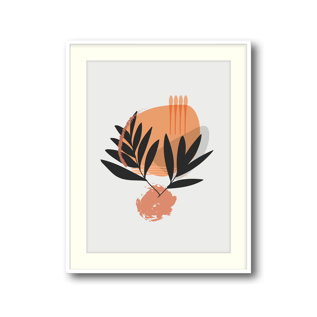 botanicus-b