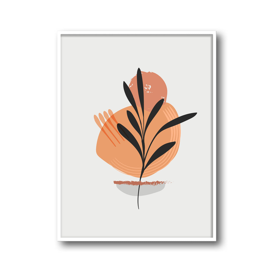 botanicus-c