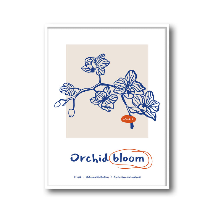 tranquil-petals-d