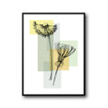Botanic Bloom B
