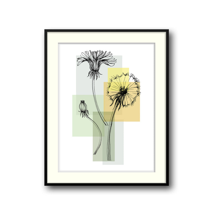 botanic-bloom-c